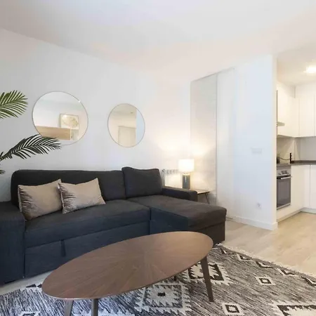 The Collection - Ilargi * 圣塞瓦斯蒂安