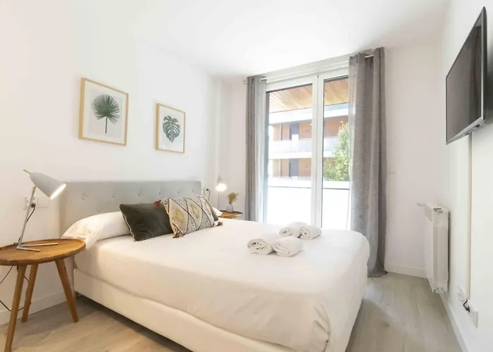 The Collection - Ilargi 圣塞瓦斯蒂安